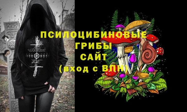 2c-b Беломорск