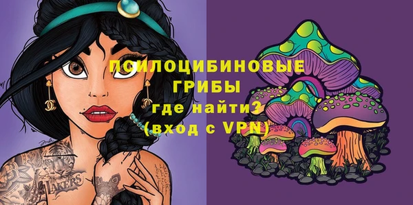 твердый Белоозёрский
