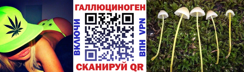 Галлюциногенные грибы Cubensis  ссылка на мегу ссылки  Волгореченск 